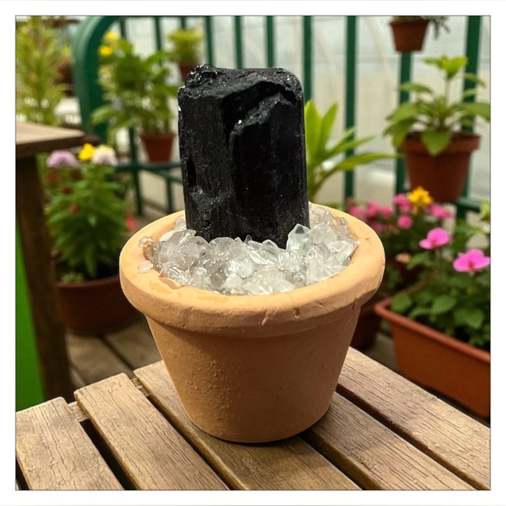 Black tourmaline crystal in MINI Terracotta Pot - Picture 2 of 6